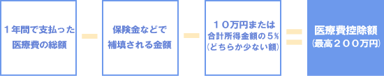 医療費控除額の計算