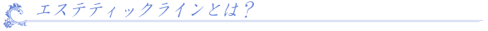 エステティックラインとは?