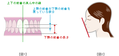 図２