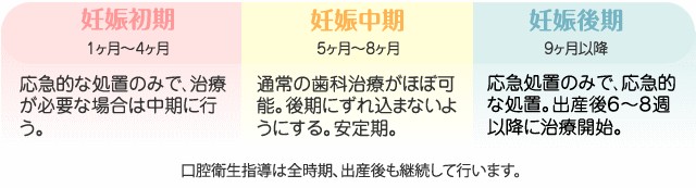 歯科治療の選択