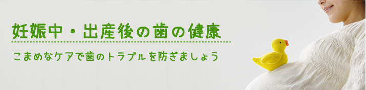 妊娠中・出産後の歯の健康